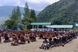 ASITA Papua: 230 wisman meramaikan Festival Budaya Lembah Baliem ke-33