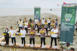 Kapolri  ikut tanam mangrove guna jaga lingkungan masa depan