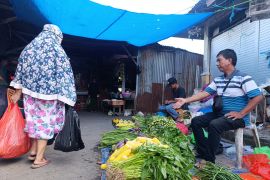 Pedagang mulai gunakan zona relokasi pasca penertiban