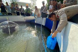Polres Tapin budidayakan ikan gabus dan nila dukung ketahanan pangan