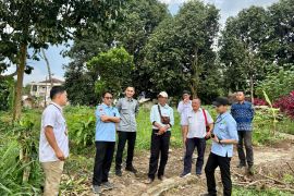 Kemenag tinjau tanah pengganti wakaf terdampak proyek Tol Ciawi-Sukabumi