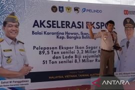 BKI: Babel bentuk satgas ekspor
