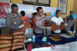 Polres Palas gagalkan pengiriman 44 Kg ganja ke Jakarta