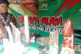 Kerajinan batu fosil Lebak Banten tembus pasar internasional