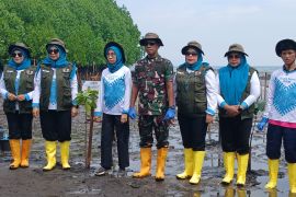 Pemprov Maluku Utara tanam 240 pohon mangrove di pesisir  Gambesi