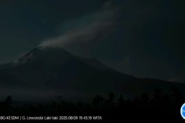 Gunung Lewotobi di Flotim lontarkan abu setinggi 800 meter