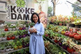 Kerajinan tanaman hias kokedama tembus pasar ekspor