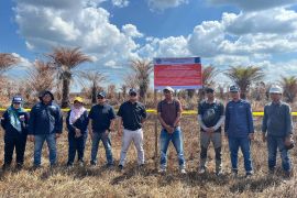 KLH proses hukum perusahaan terkait kebakaran lahan di Banjar