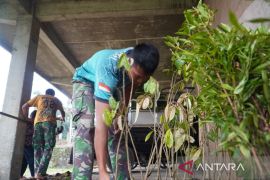 TMMD  di Temanggung tanam 500 bibit buah untuk cegah gangguan kera