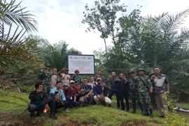 Satgas PKH-Kejati Sumbar gelar penertiban  8.000 hektare lahan hutan