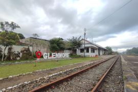 Glenmore, Pesona Alam dan Sejarah di Banyuwangi Kini Lebih Mudah Dijangkau KA Pandanwangi