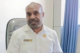 Pemprov Papeg optimalkan generasi muda di delapan kabupaten geluti ekraf