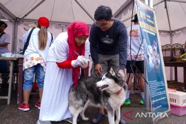 PDHI Sultra edukasi kesehatan hewan ke warga lewat Pet Festival
