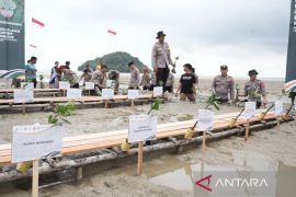 Pemprov Kalbar memperkuat kolaborasi kelola ekosistem mangrove