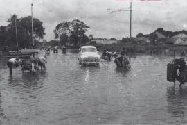 Beberapa kampung di Djakarta terlalu banjak dapat "rahmat"