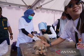 PDHI Sultra vaksinasi 200 hewan peliharaan untuk cegah rabies