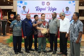 Pemprov Papua Selatan dorong regenerasi pelaku seni