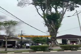 Gardu listrik PT PLN di Aspol Jambi Selatan terbakar