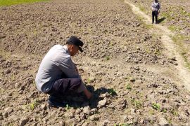 Polres dukung program ketahanan pangan nasional Jayawijaya