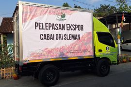 Petani Milenial Sleman ekspor perdana cabai rawit ke Jepang