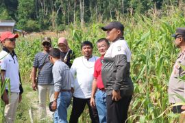 Polres Lingga garap 30 hektare lahan tidur menjadi sentra jagung