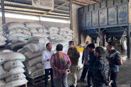 OJK Sulselbar tingkatkan literasi keuangan petani kakao di Polman Sulbar