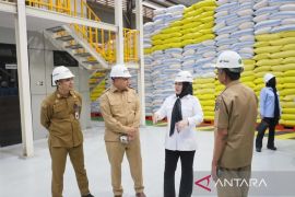 Komisi IV DPR RI sebut stok beras di Bulog Makassar cukup melimpah