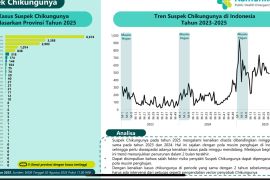 Kemenkes: Waspadai kenaikan kasus chikungunya, Jabar tertinggi