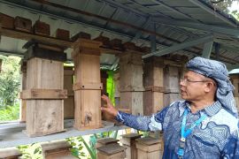 Memberdayakan masyarakat lewat "apartemen" lebah