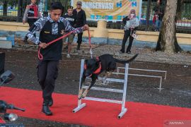 Pet Festival 2025 di Kendari Page 3 Small