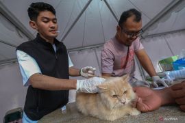 Pet Festival 2025 di Kendari Page 2 Small