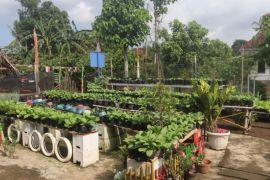 Unila beri pelatihan AI dan pengelolaan hayati bagi petani urban farming