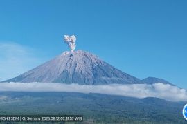 Gunung Semeru hari ini erupsi lima kali dengan tinggi hingga 1 km