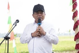 Bupati: Kapuas beri kontribusi signifikan penuhi kebutuhan beras Kalteng