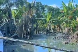 Dinas EDSM pastikan gas di semburan lumpur Tulang Bawang tidak berbahaya