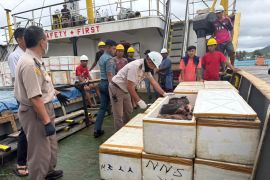 Karantina Sulut tahan 800 kg daging celeng tanpa dokumen