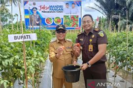 Bupati Gorontalo: Program Jaksa Mandiri Pangan dukung ketahanan pangan
