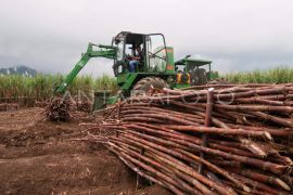 Akademisi-BI mendukung Dompu jadi pusat agroindustri tebu Indonesia Timur