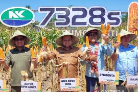 Pemkab Gowa targetkan menjadi daerah penyangga pangan