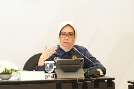 BPH Migas dan Komisi XII DPR bahas pengawasan BBM subsidi di Babel