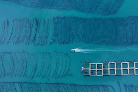 Pejabat NDRC: China miliki sistem industri kelautan terbesar di dunia