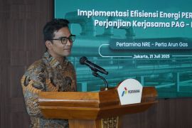 METI dorong Indonesia jadi pusat pengembangan energi terbarukan di Asia Tenggara