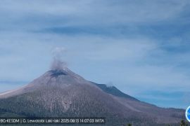 PVMBG: Gunung Lewotobi Laki-laki di Flotim kembali erupsi pada Rabu