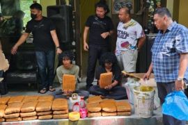 63 kilogram ganja disita dari penggerebekan di Kampus UIN Suska