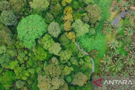 Lindungi 14.000 Ha HCV, Ini Langkah PalmCo Menjaga Spesies Langka