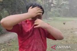 Pemkab Bogor tangani dampak "hujan semen" di Citeureup