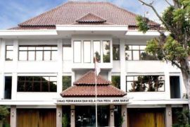 Pemprov Jabar dorong revisi KKPRL Pangandaran menyusul polemik KJA