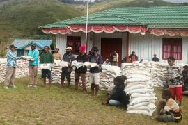 Bulog gencarkan penyaluran bantuan pangan dan gerakan pangan murah di Papua