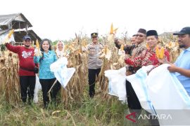 Bangka Barat perkuat sinergi bangun ketahanan pangan desa