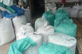 Pelaku usaha penggilingan padi di Lebak tampung gabah Rp7.500 per kg